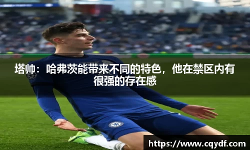 K1体育官网